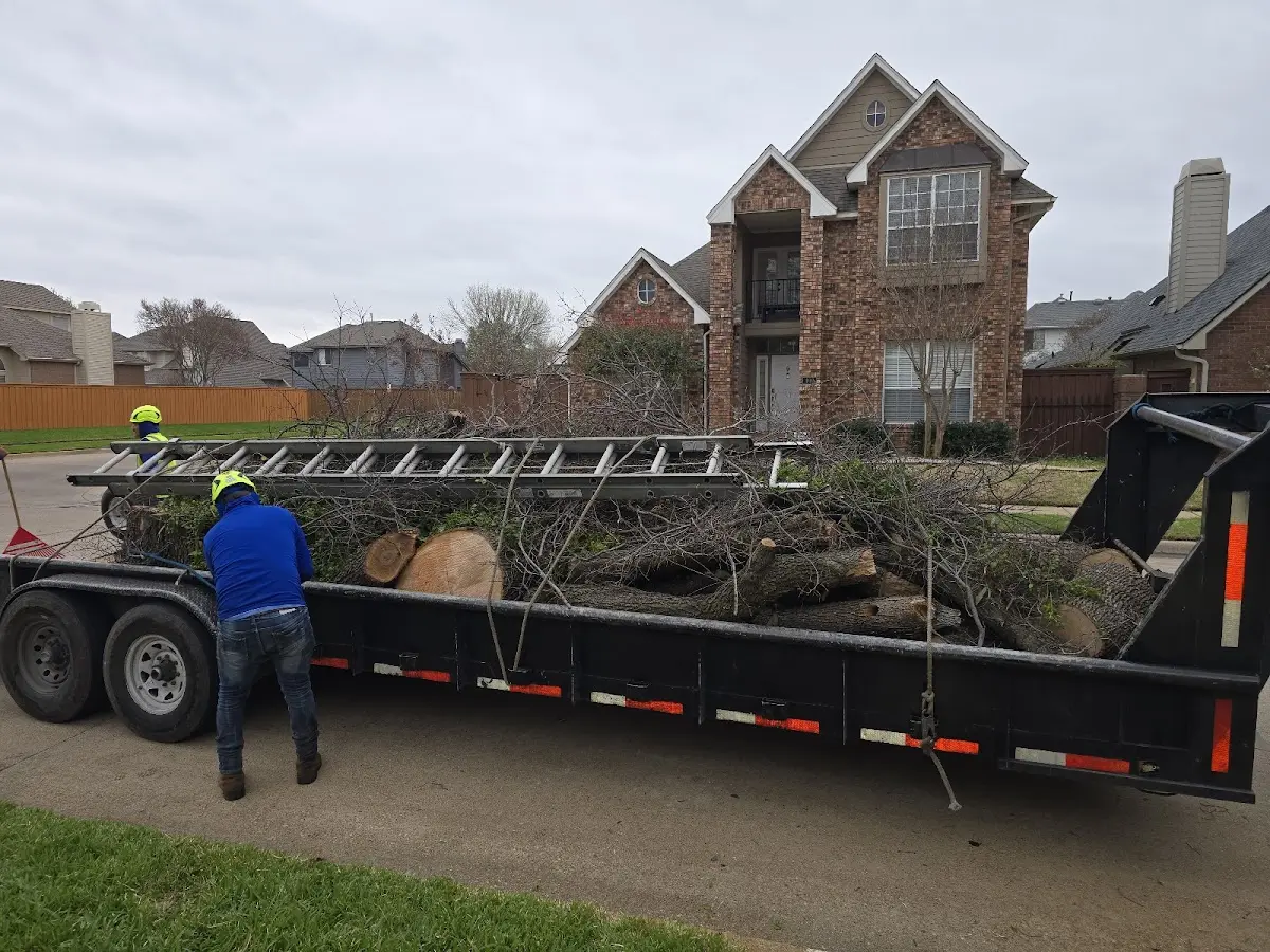 Expert Tree Fertilization with proper safety equipment in Breinigsville